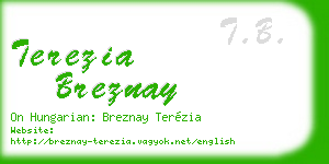 terezia breznay business card