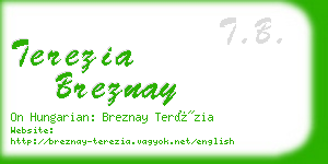 terezia breznay business card